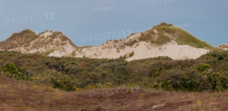 Quend (Baie de Somme, France), site de Belle Dune
