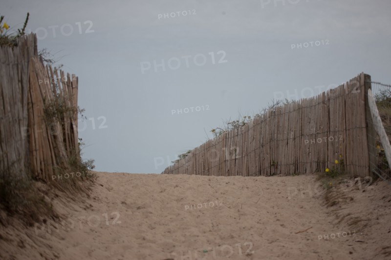 Conservation area of Belle Dune in Quend