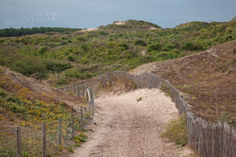 Quend (Baie de Somme, France), site de Belle Dune