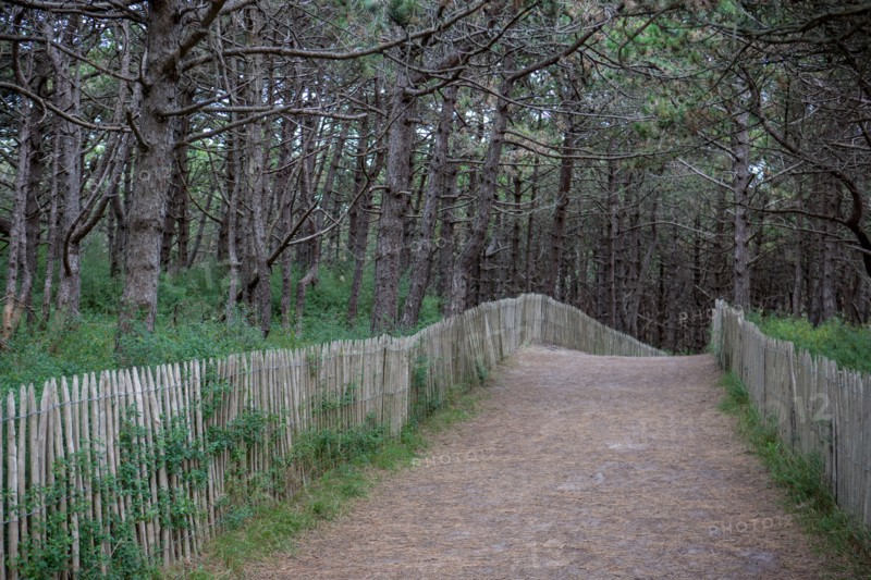 Quend (Baie de Somme, France), site de Belle Dune