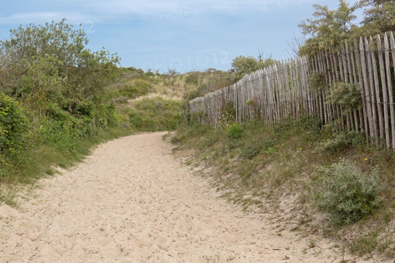 Quend (Baie de Somme, France), site de Belle Dune
