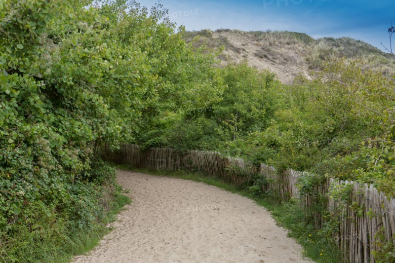 Quend (Baie de Somme, France), site de Belle Dune
