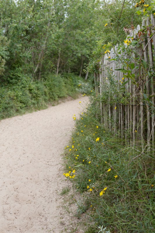 Quend (Baie de Somme, France), site de Belle Dune