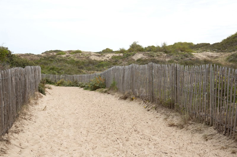 Quend (Baie de Somme, France), site de Belle Dune