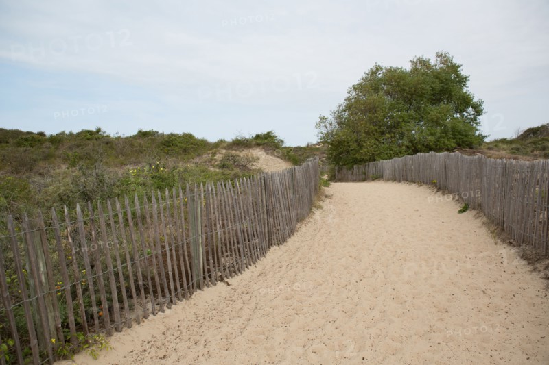 Conservation area of Belle Dune in Quend