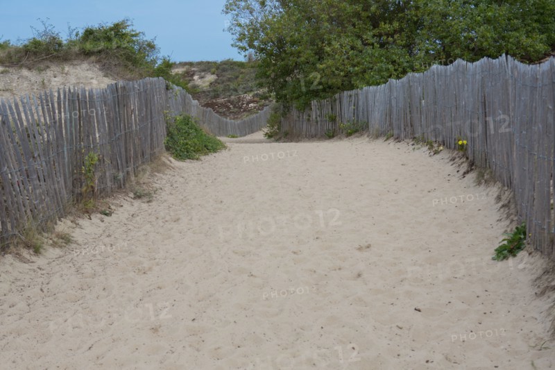 Quend (Baie de Somme, France), site de Belle Dune