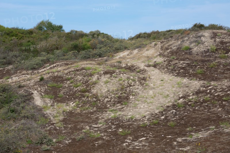 Quend (Baie de Somme, France), site de Belle Dune