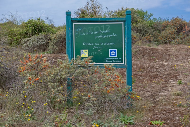Quend (Baie de Somme, France), site de Belle Dune