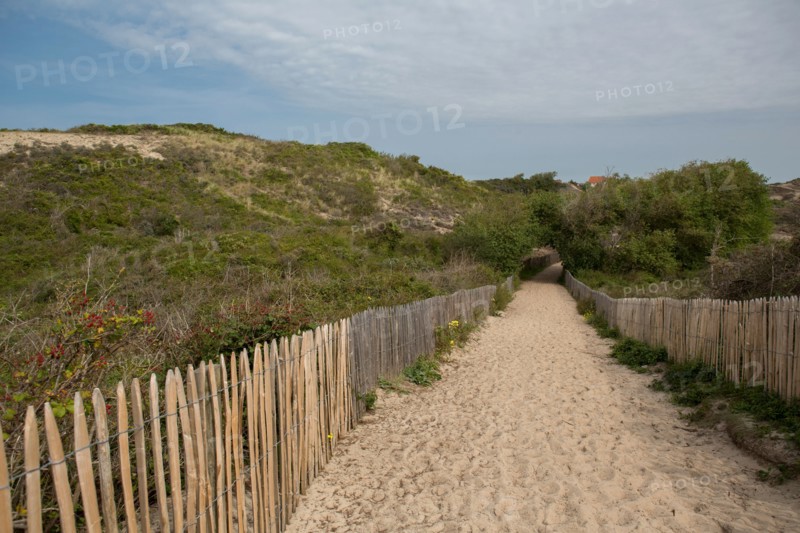 Conservation area of Belle Dune in Quend