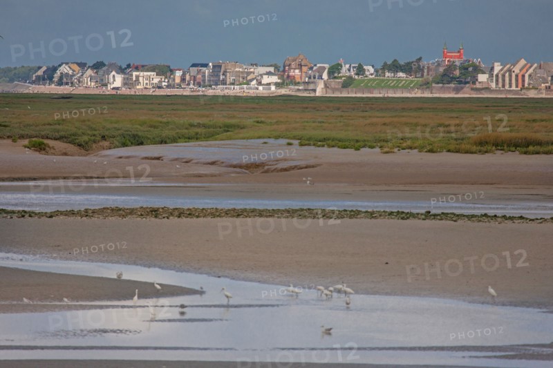 Saint-Valery-sur-Somme (Baie de Somme, France)