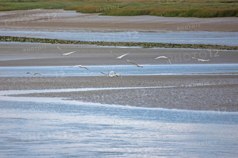 Saint-Valery-sur-Somme (Baie de Somme, France)