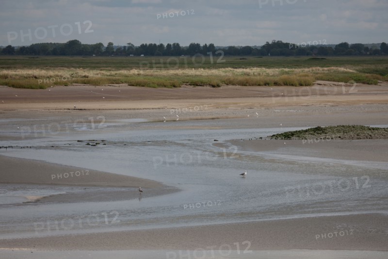 Le Crotoy (Baie de Somme, France)