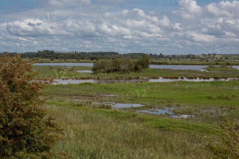 Le Crotoy (Baie de Somme, France)