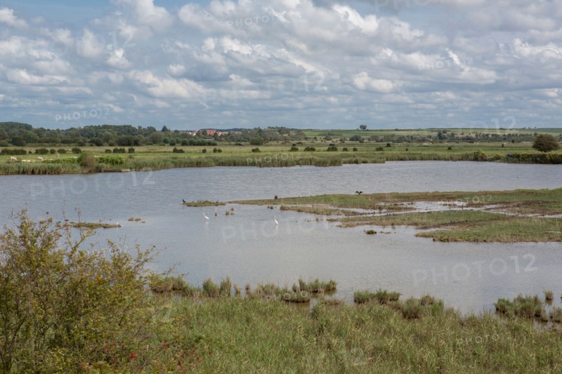 Le Crotoy (Baie de Somme, France)