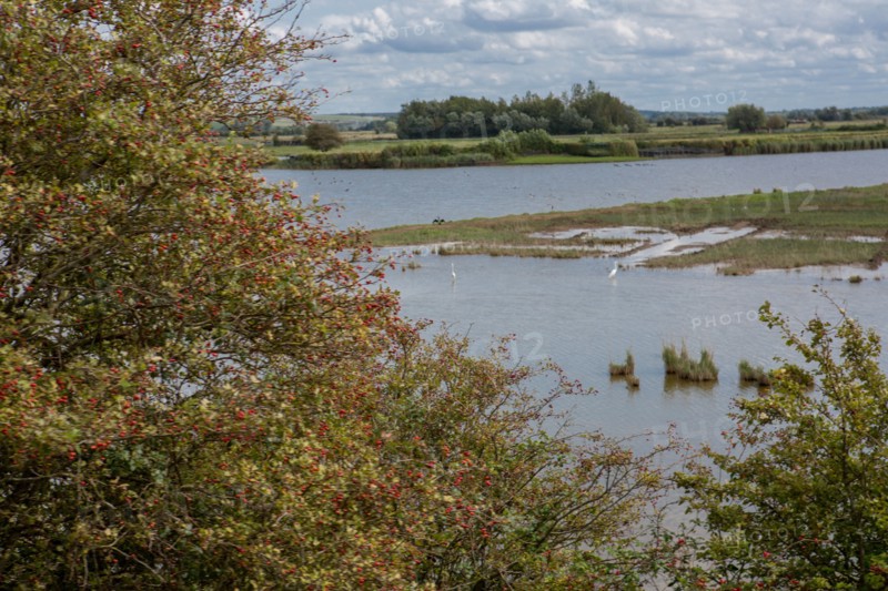 Le Crotoy (Baie de Somme, France)