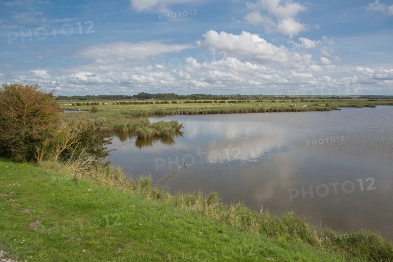 Le Crotoy (Baie de Somme, France)