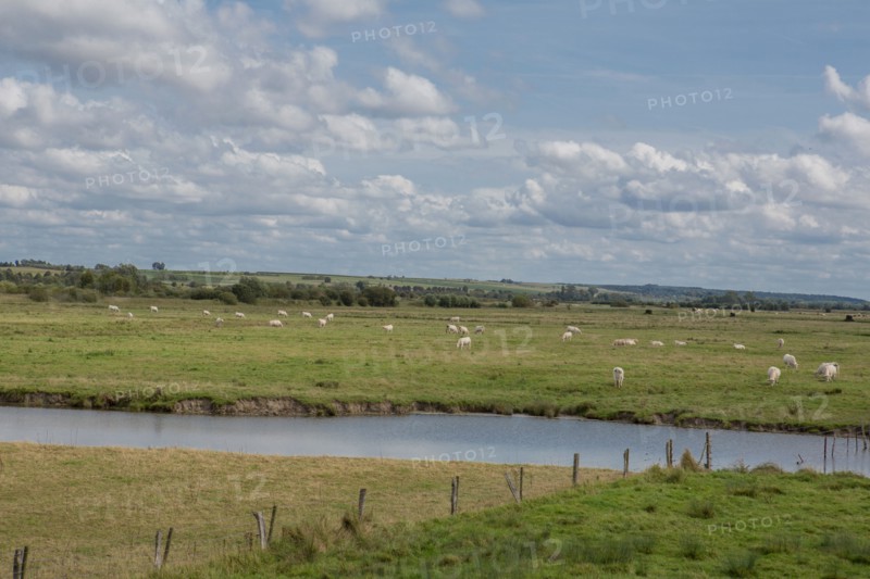 Le Crotoy (Baie de Somme, France)