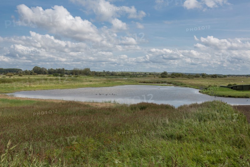 Le Crotoy (Baie de Somme, France)