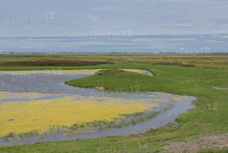 Le Crotoy (Baie de Somme, France)