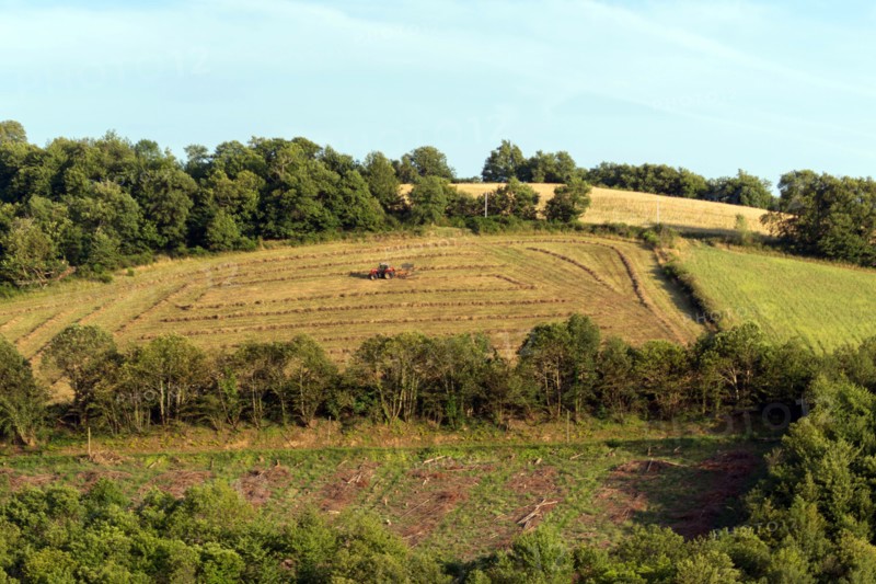 Regional nature park of Grands Causses