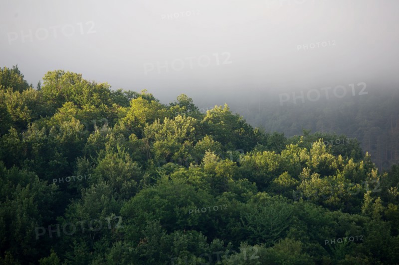 Parc des Grands Causses, brume matinale sur les gorges du Tarn