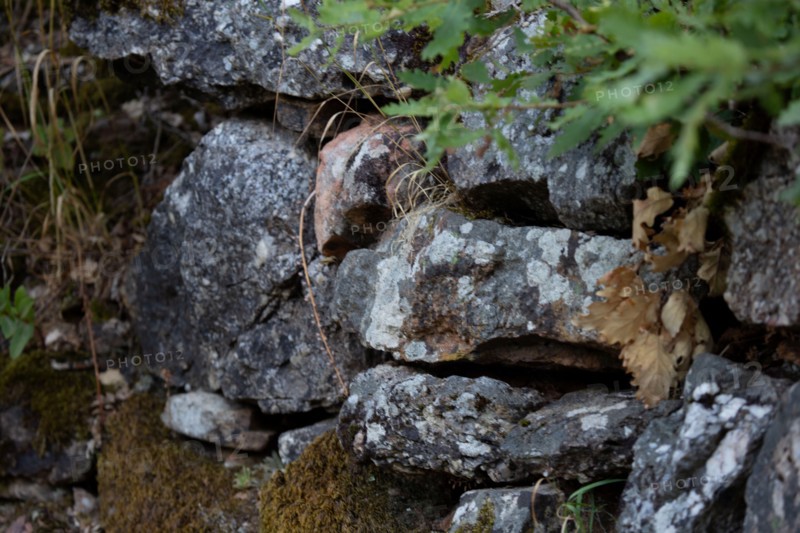 Detail of a stone wall