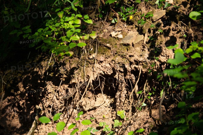 Regional nature park of Grands Causses