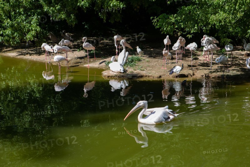 Lyon, Parc de la Tête d'Or