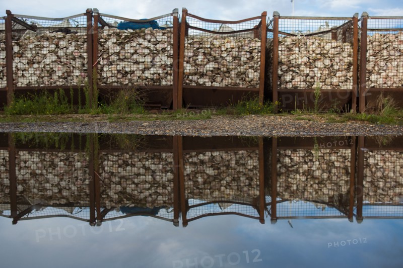 Dieppe, scallops containers