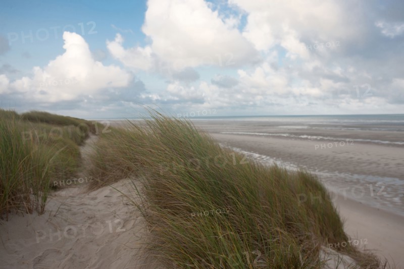 Le Touquet Paris Plage, dunes au dessus de la plage