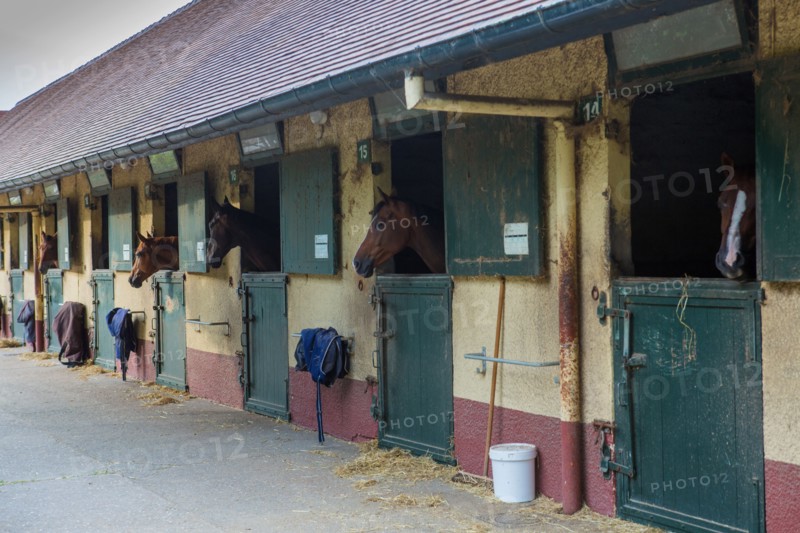 Le Touquet Paris Plage, equestrian centre