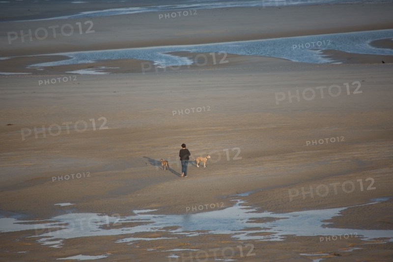 Le Touquet Paris Plage, femme promenant ses chiens sur la plage