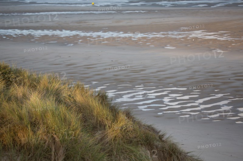 Le Touquet Paris Plage, dunes above the beach