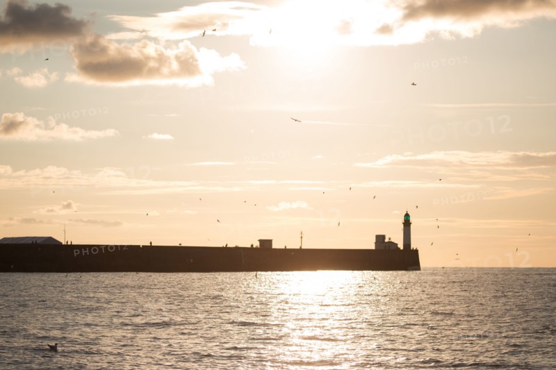 Mers les Bains, Le Tréport harbour breakwater