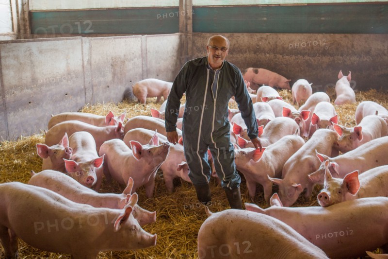 Ambrumesnil, Le Cochon Campagnard