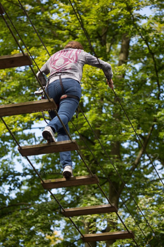 Denestanville, Ard'aventure