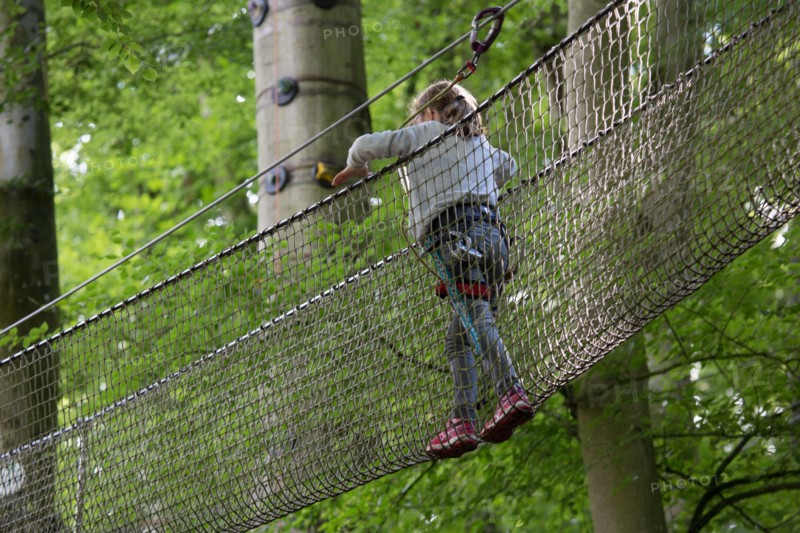Denestanville, Ard'aventure