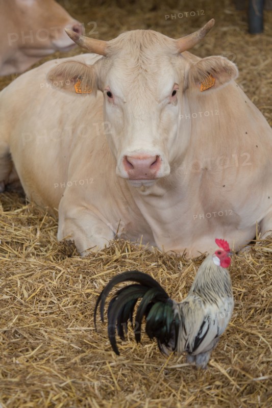 Luneray, Ferme des Trois Portes