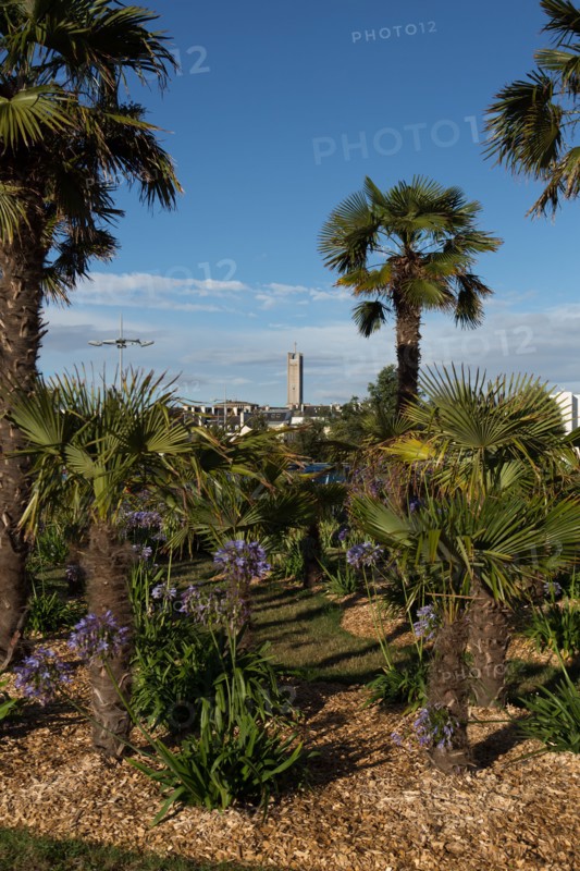 Lorient, jardin de l'hôpital du Scorff, vue sur le clocher de l'église Saint Louis