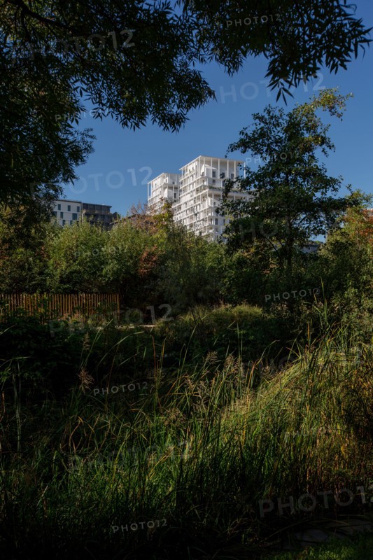 Paris, the new Batignolles neighborhood
