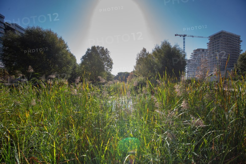 Paris, the new Batignolles neighborhood