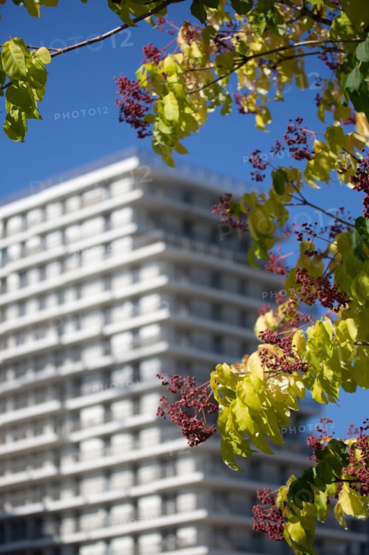Paris, nouveau quartier des Batignolles