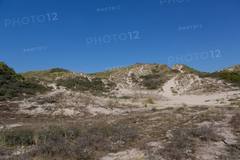 Cucq  Stella Plage (Côte d'Opale), dunes de Mayville