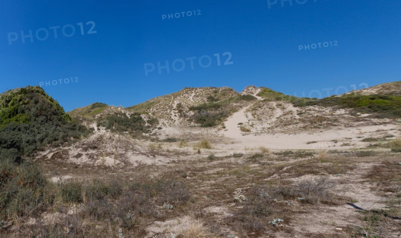 Cucq  Stella Plage (Côte d'Opale), dunes de Mayville