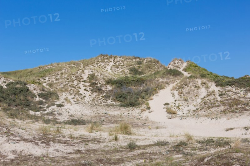 Cucq  Stella Plage (Côte d'Opale), dunes de Mayville