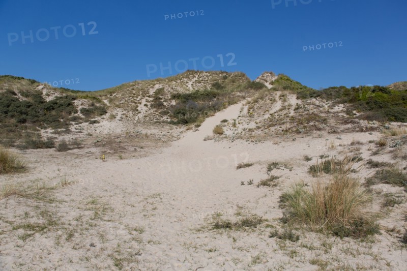Cucq  Stella Plage (Côte d'Opale), dunes de Mayville