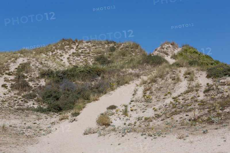 Cucq  Stella Plage (Côte d'Opale), dunes de Mayville