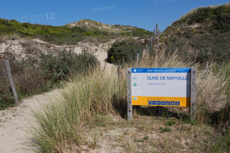 Cucq  Stella Plage (Côte d'Opale), dunes de Mayville