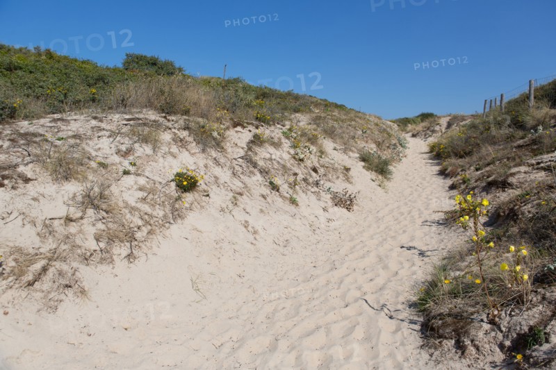 Cucq  Stella Plage (Côte d'Opale), dunes de Mayville