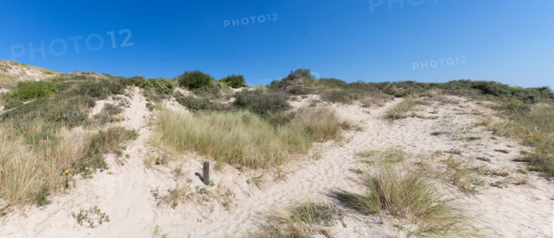 Cucq  Stella Plage (Côte d'Opale), dunes de Mayville
